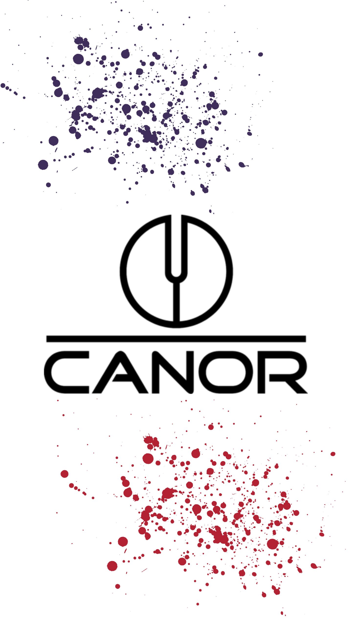 canor scaled - Über canor scaled - Über